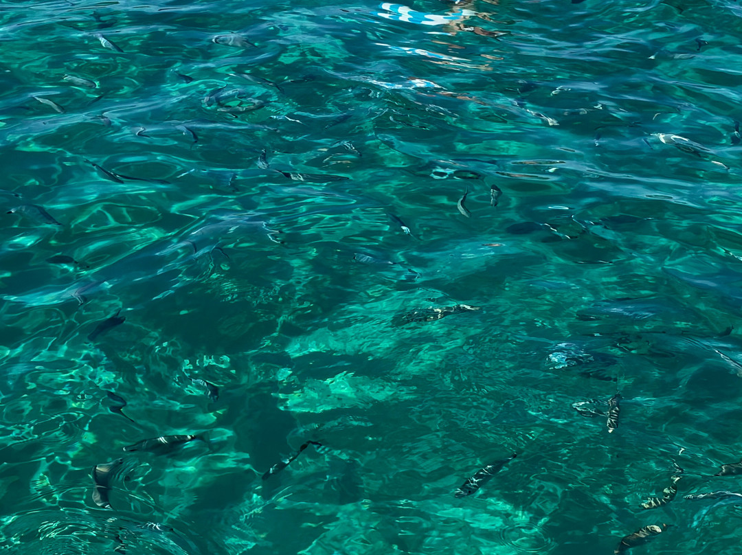 Isola Piana