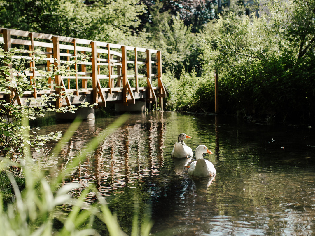 Stadtpark Neue Welt-梅明根必去景点
