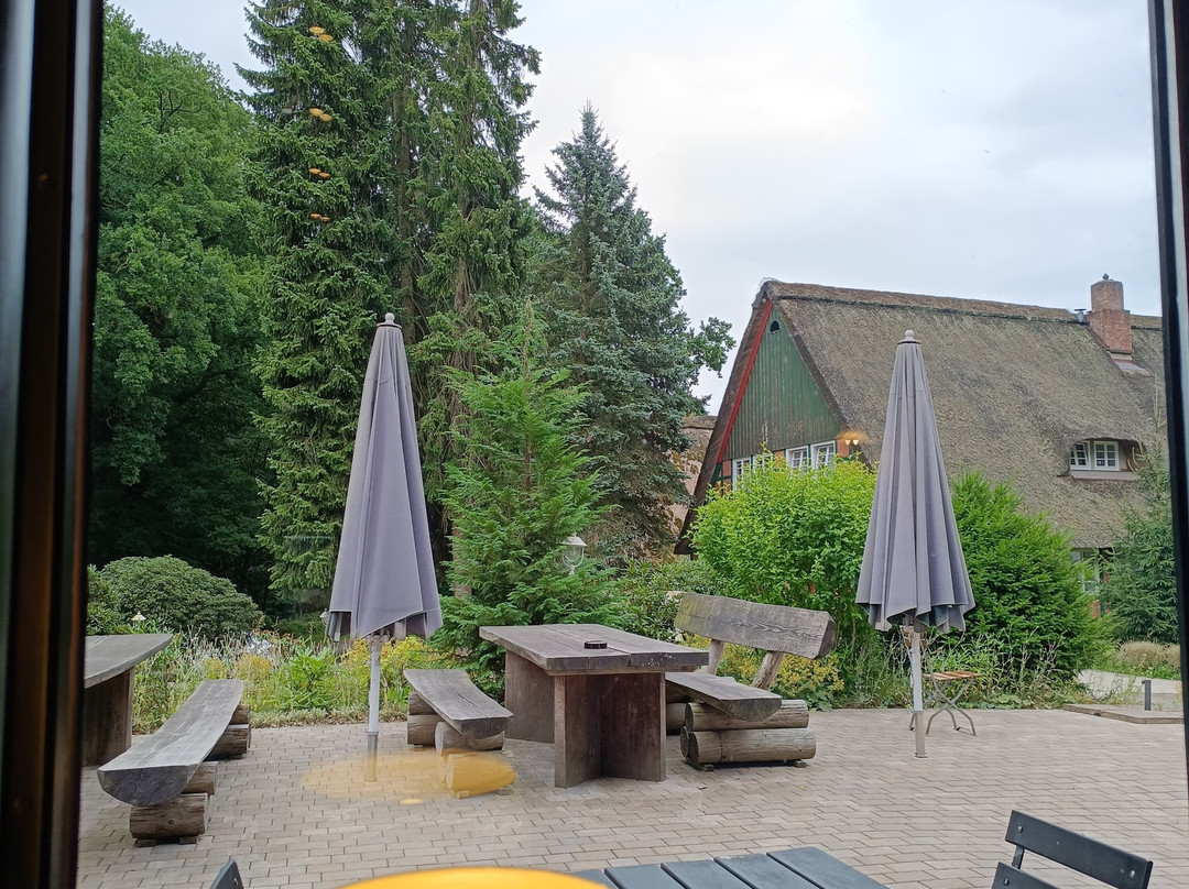 Forsthaus-Ferienhotel am Dobrock主图