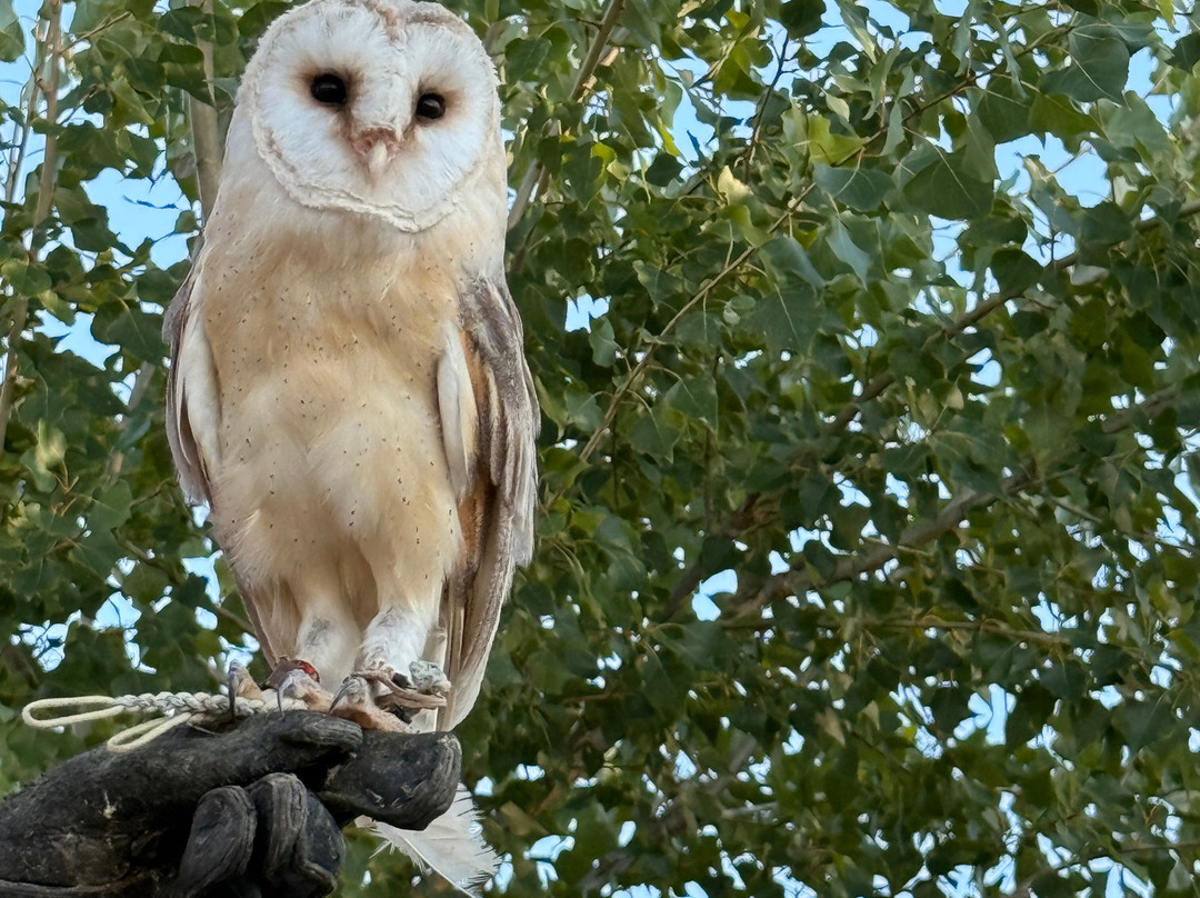 Parco Acrobati del Sole-Cividale del Friuli必去景点