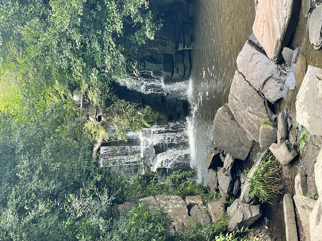 Penllergare-斯温西必去景点