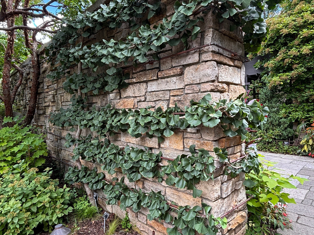 奥布里希热带植物园-麦迪逊必去景点