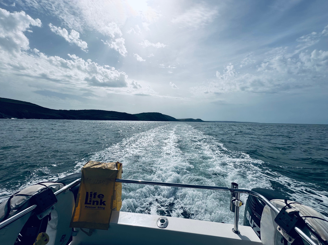 Dolphin Spotting Boat Trips (by New Quay Boat Trips)-纽基必去景点