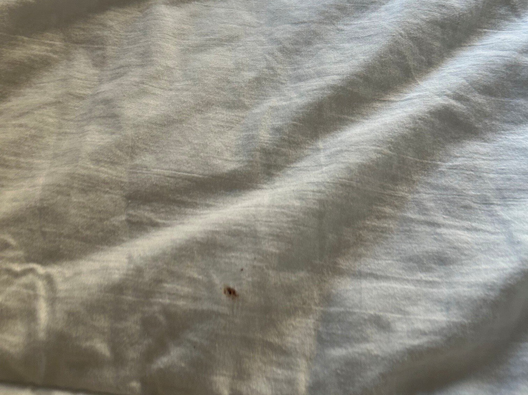 克拉里瑟斯精品酒店主图