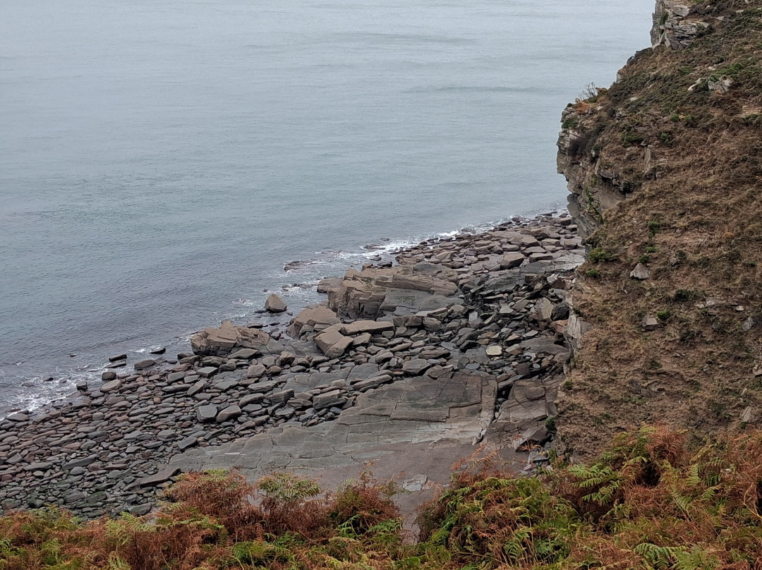 Valley of the Rocks-林茅斯必去景点