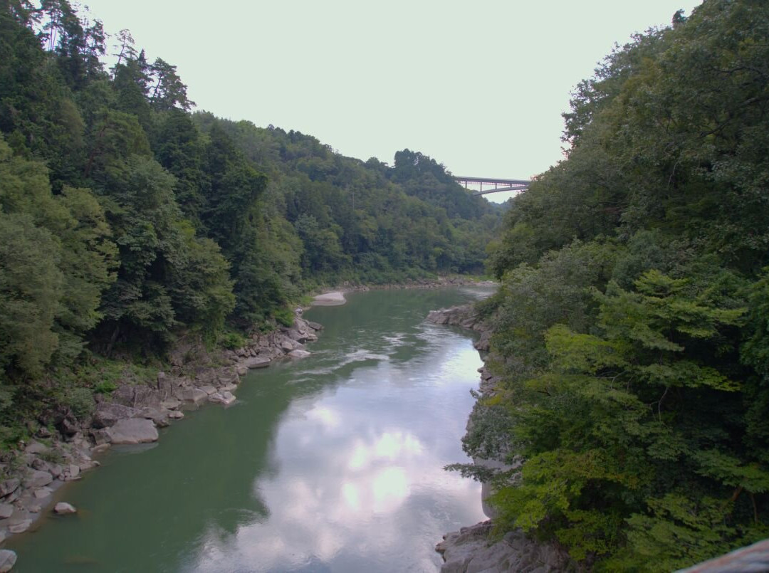 Tenryukyo Ohashi Observatory-饭田市必去景点