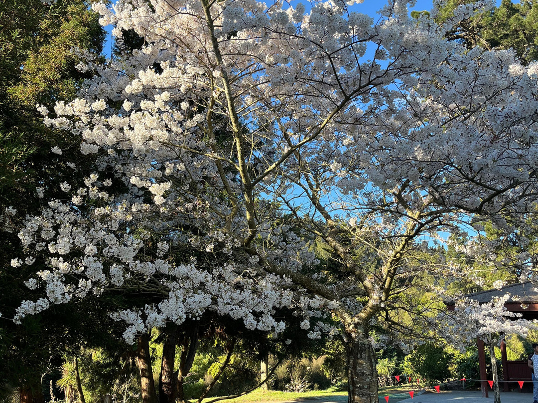 Halswell Quarry Park-基督城必去景点