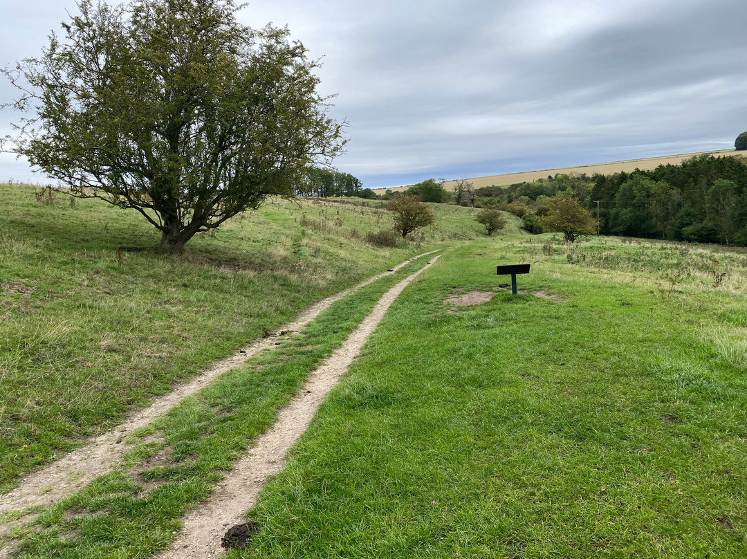 Wharram Percy Deserted Medieval Village-马尔顿必去景点