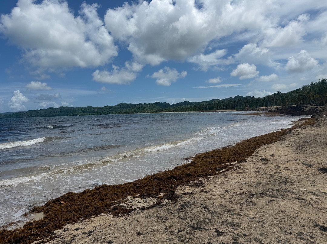 Playa Rincon-萨马纳半岛必去景点
