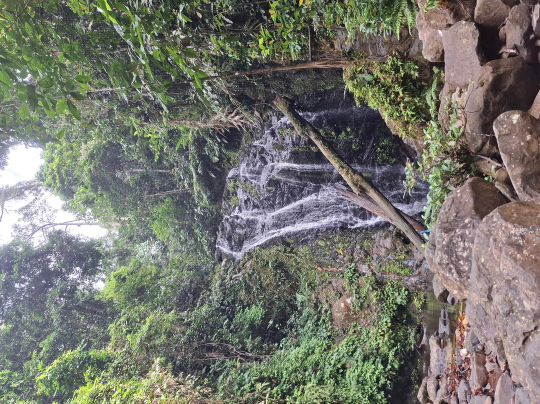 1StopBorneo Wildlife-斗湖必去景点