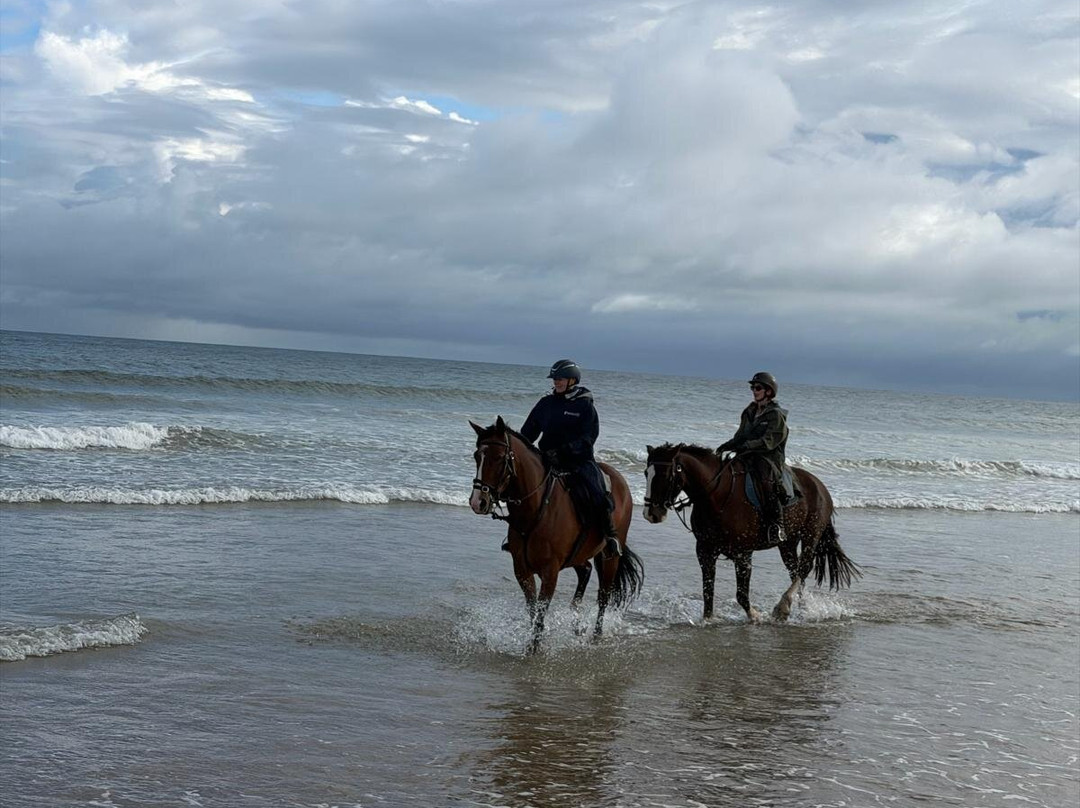 Bespoke Equestrian Ireland-都柏林必去景点