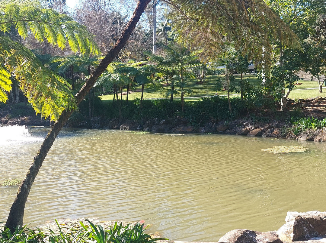 Tamborine Mountain Botanic Gardens-丹百林山必去景点
