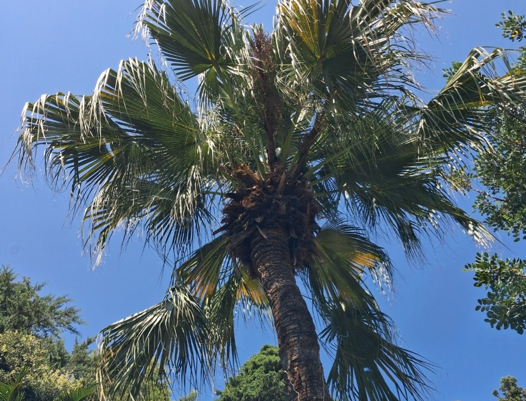 Parco Botanico Villa Rocca-基亚瓦里必去景点