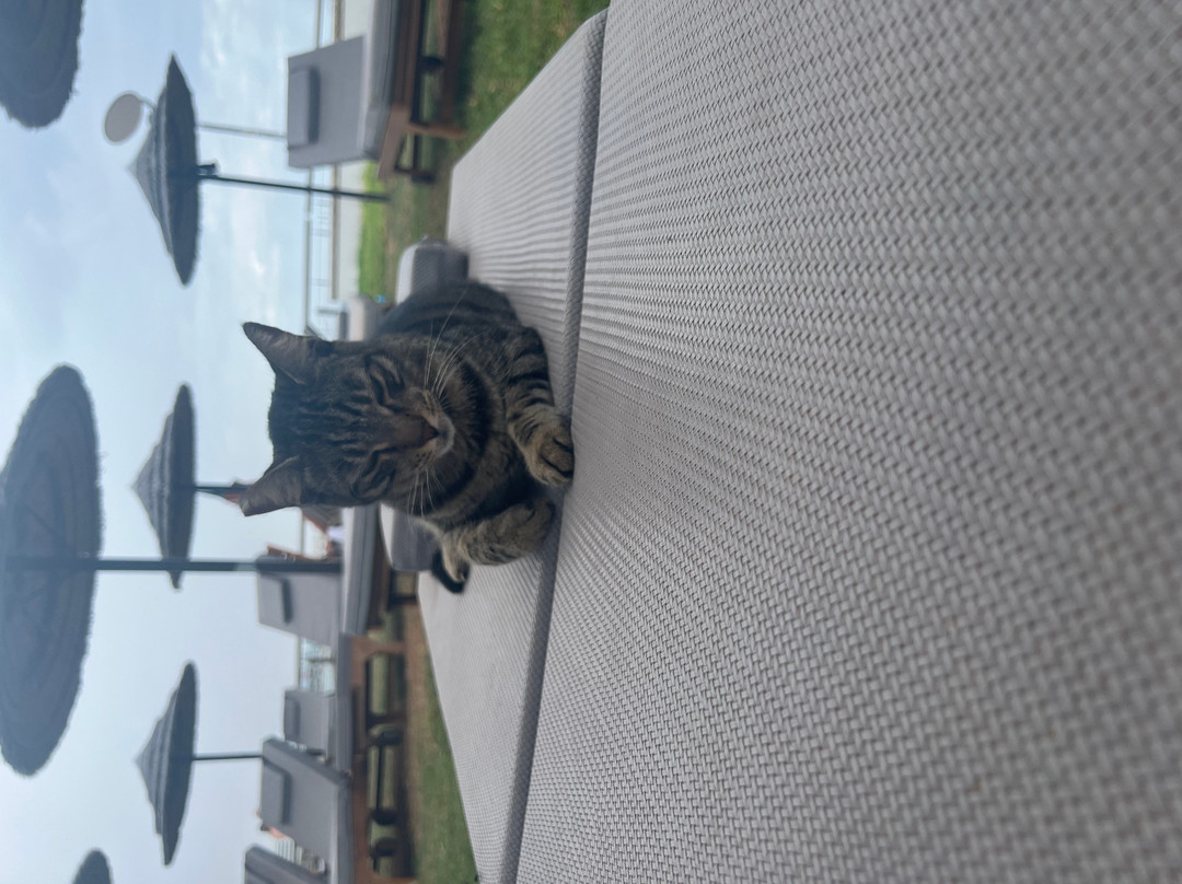风之谷奢华别墅主图