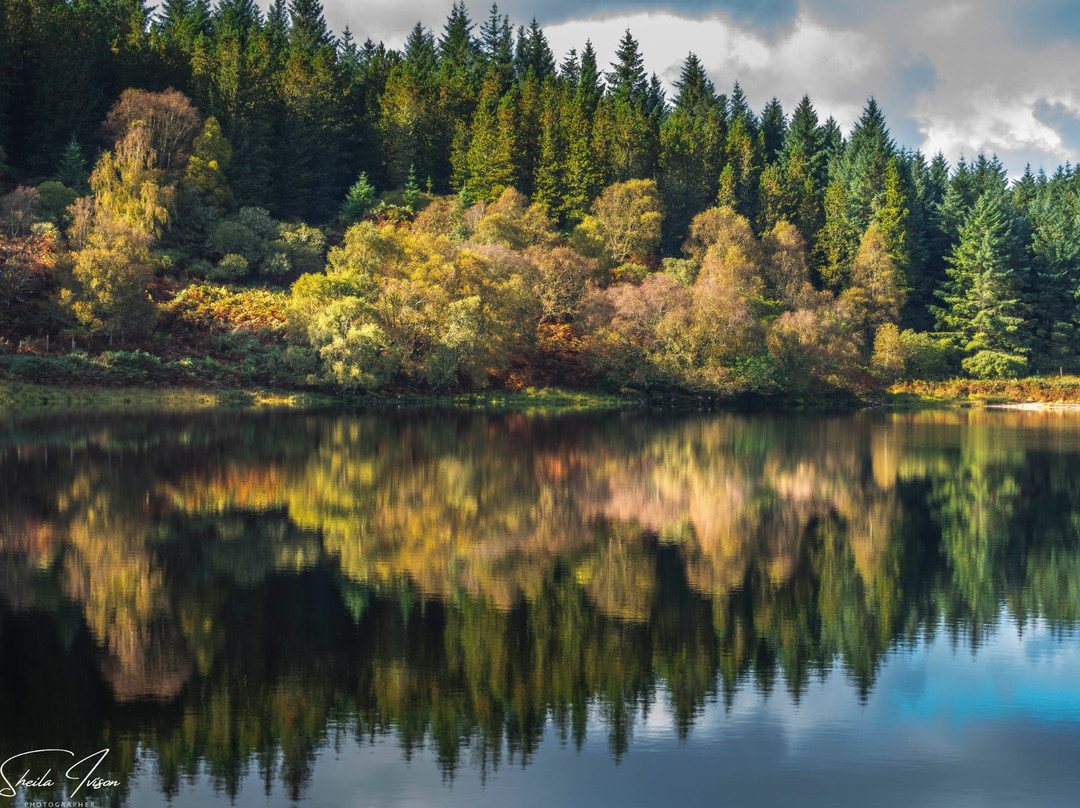 Loch Shiel Cruises-Glenfinnan必去景点