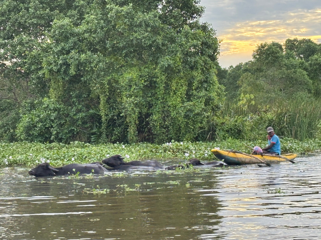 Kalametiya Lagoon Safari-Hungama必去景点