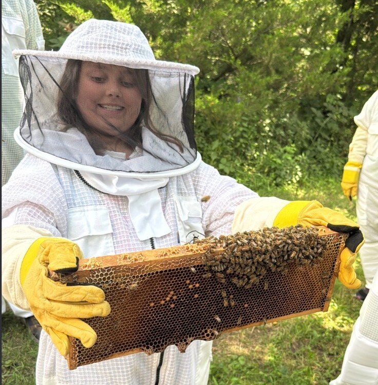 Dry Creek Beekeeping