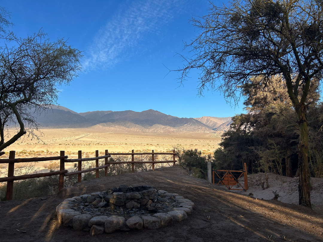Desert Camp