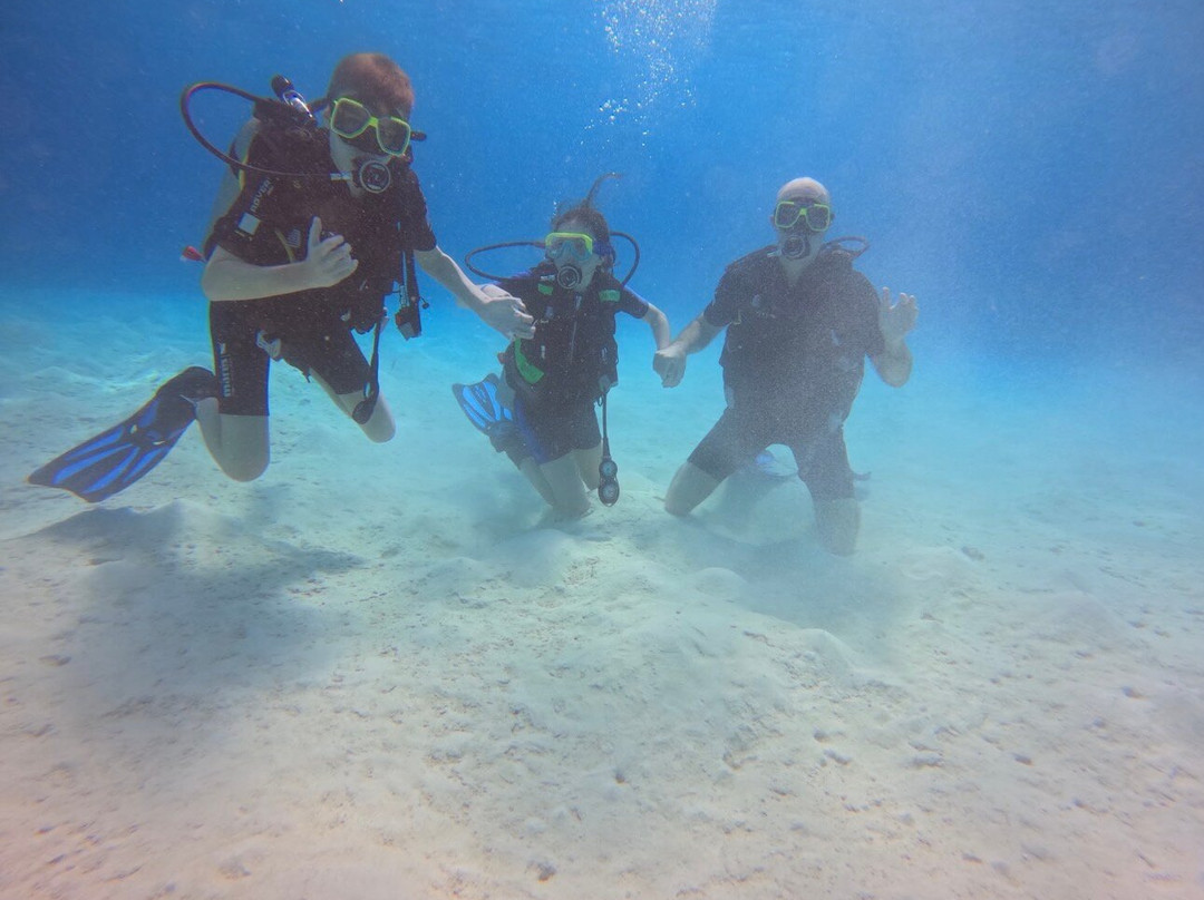 Porto Mari Dive Center-Sint Willibrordus必去景点