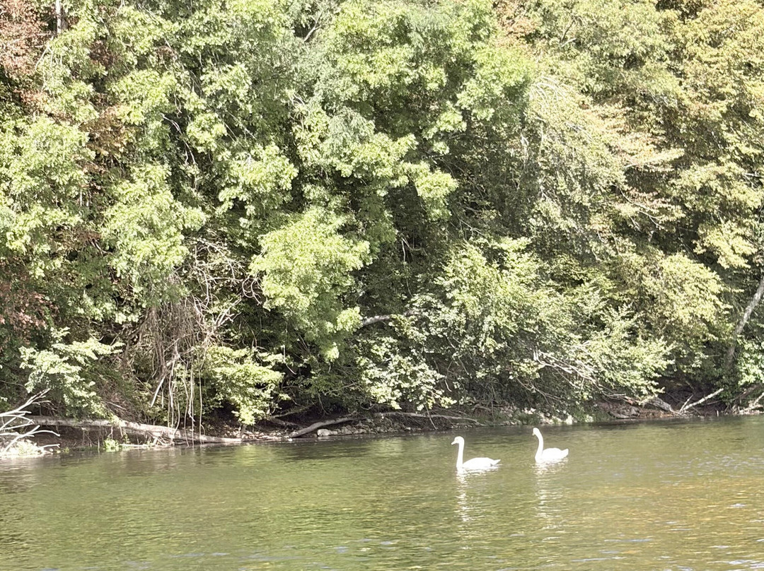 Canoe Vacances-La Roque-Gageac必去景点