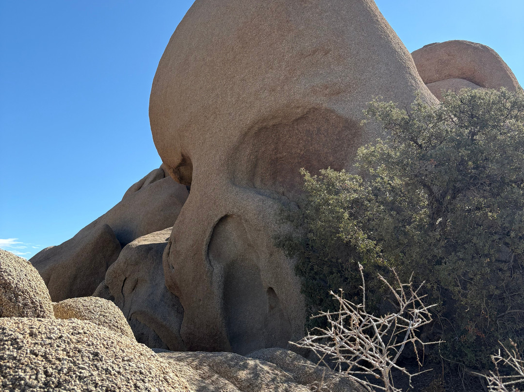 Joshua Tree National Park-约书亚树必去景点