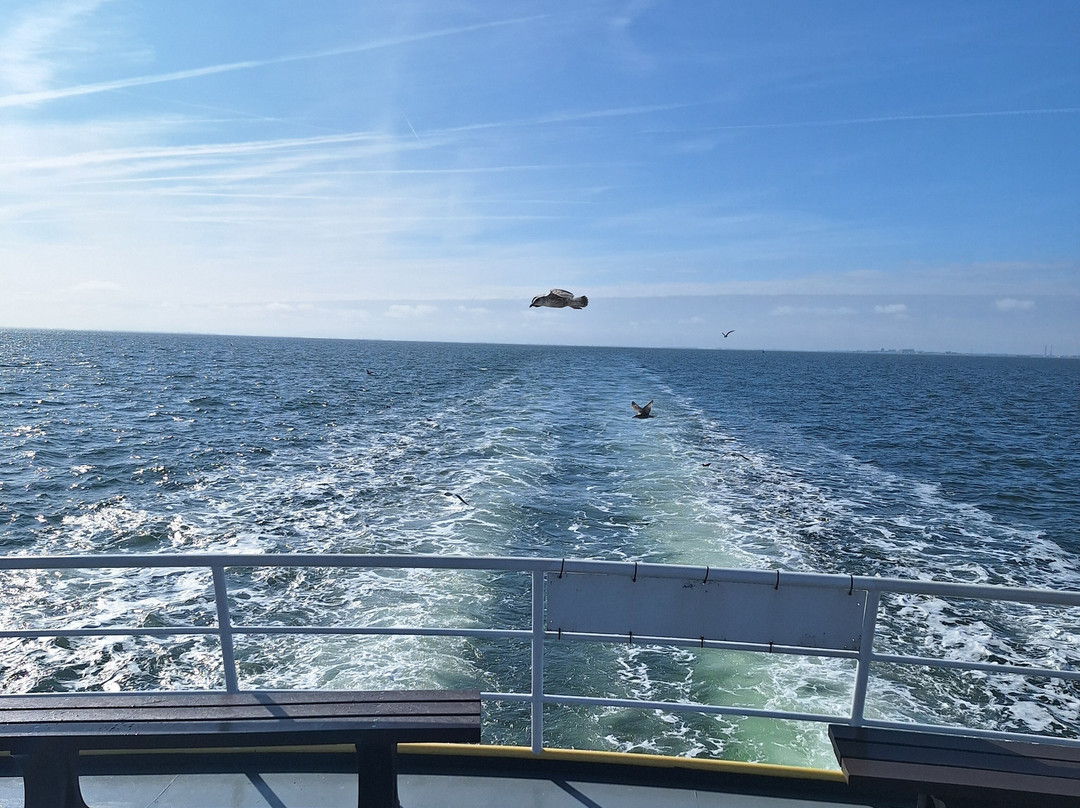 Het Wad op -TX10 & TX20-Oudeschild必去景点