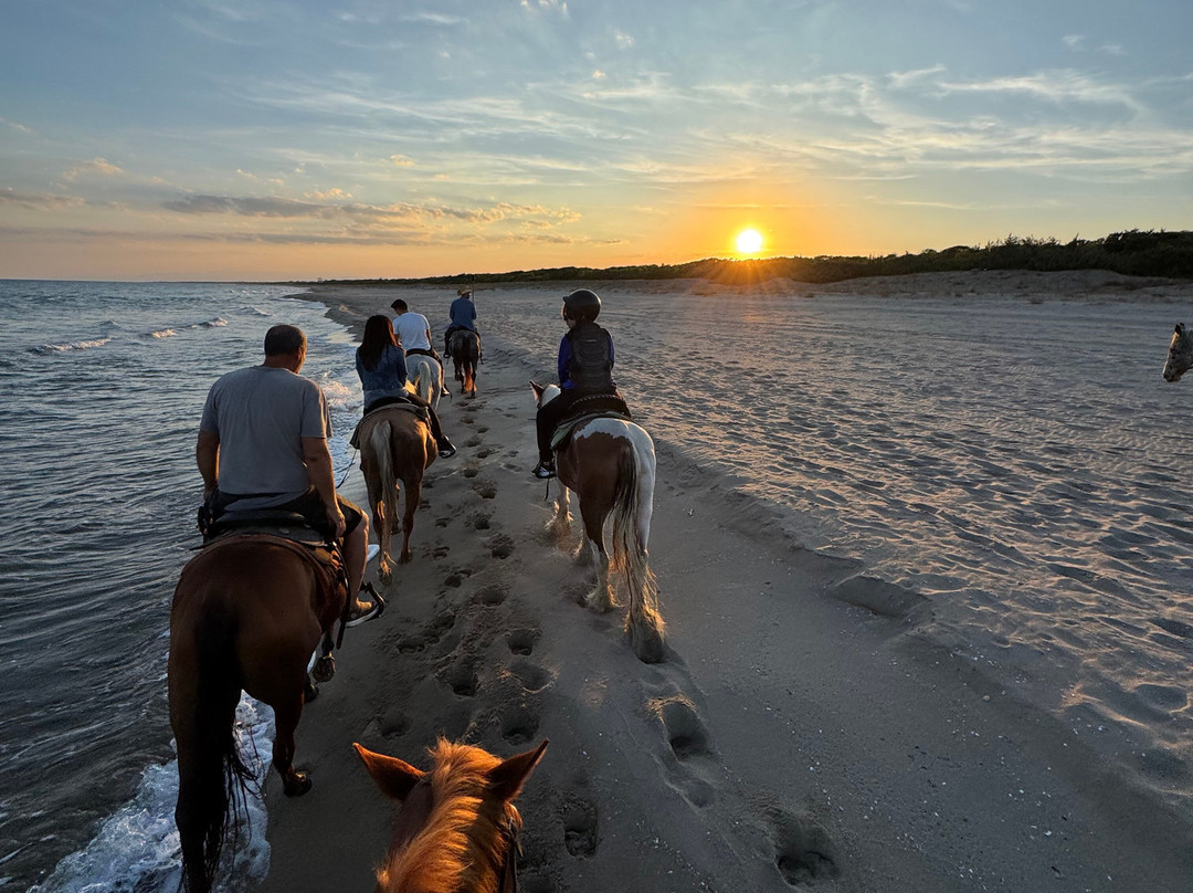 Family Horses 373-5361953-Marina di Ginosa必去景点