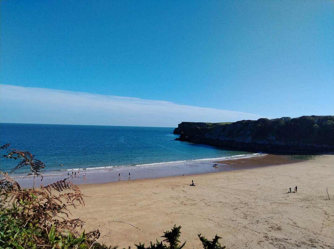 Barafundle Beach-Stackpole必去景点