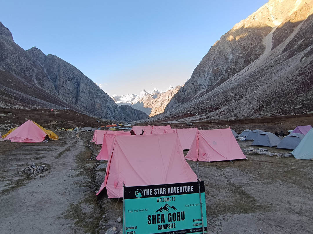 Himalayas Griffon-阿姆利则必去景点