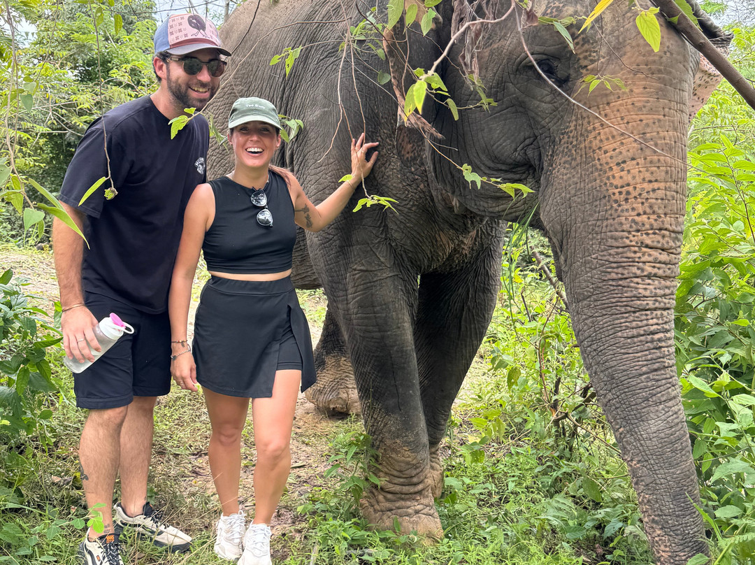 Kulen Elephant Forest-暹粒必去景点