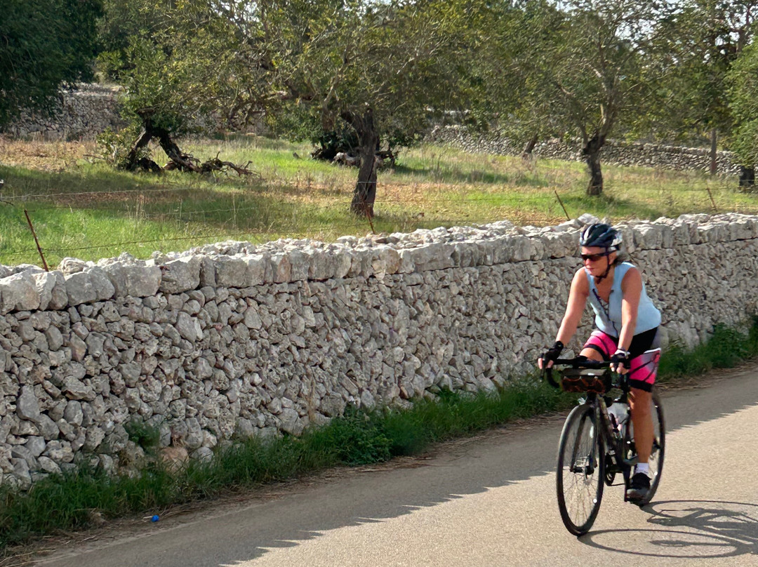 Mallorca Bike Hire-波连萨必去景点