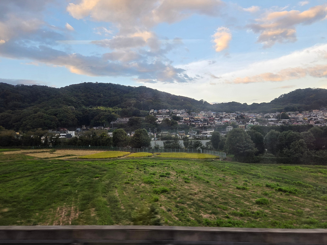 Odakyu Limited Express Romancecar-东京都必去景点
