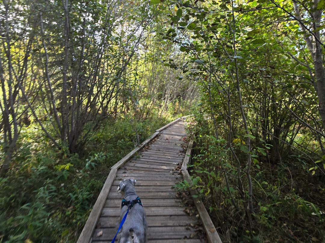 River's Edge Park-Columbia Falls必去景点