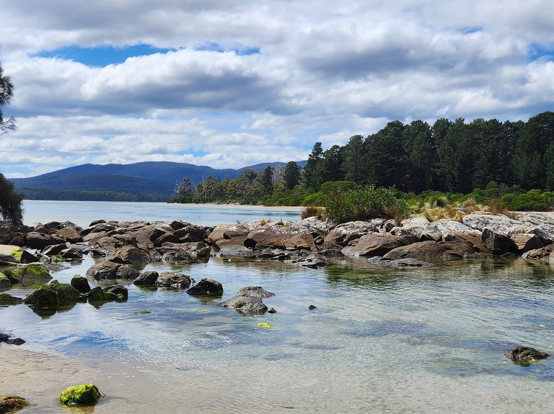Tassie Tours Tasmania-霍巴特必去景点