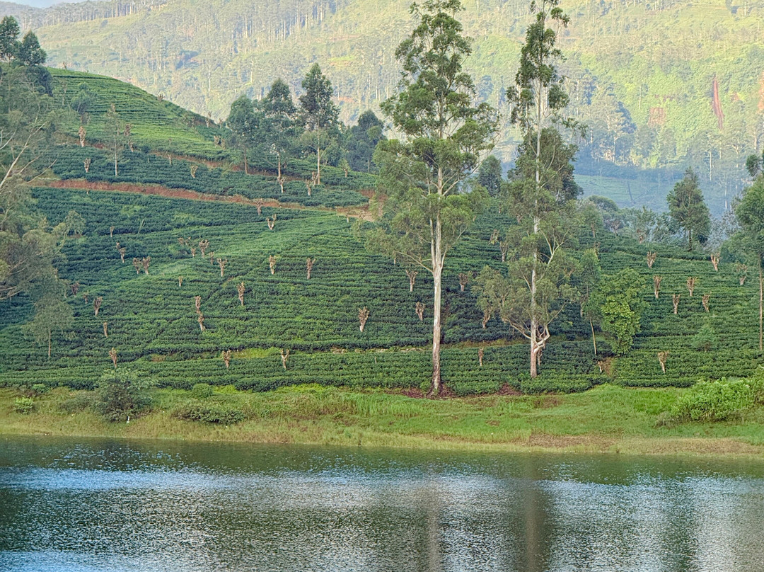 蝴蝶山湖滨酒店主图