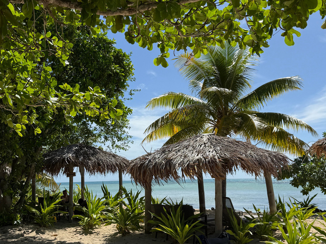 Tivua Island Fiji-纳迪市必去景点