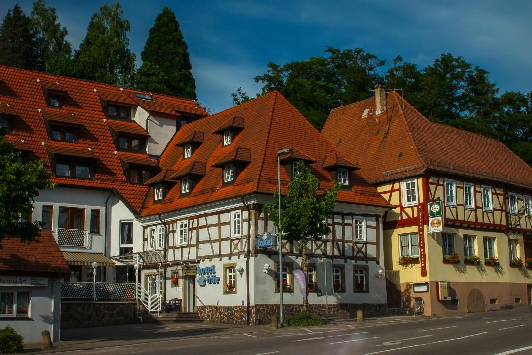 Hoffenheim旅游攻略图片