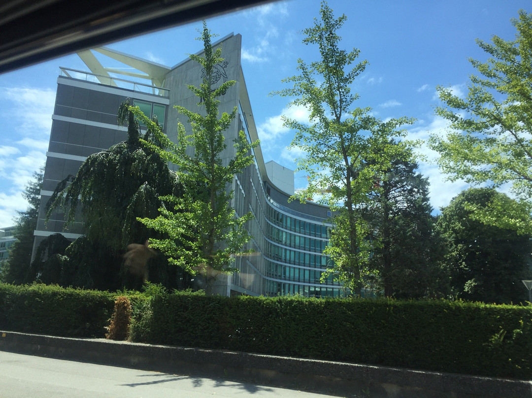 Jongny旅游攻略图片