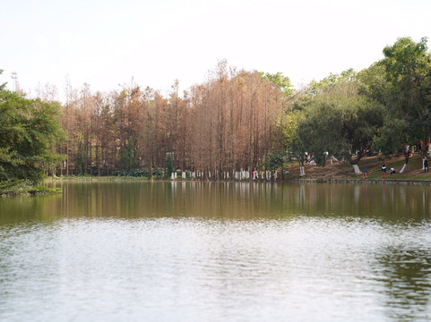 大夫山森林公园-广州市必去景点