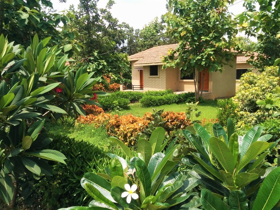 Olive Resort and Villas, Turia-官方