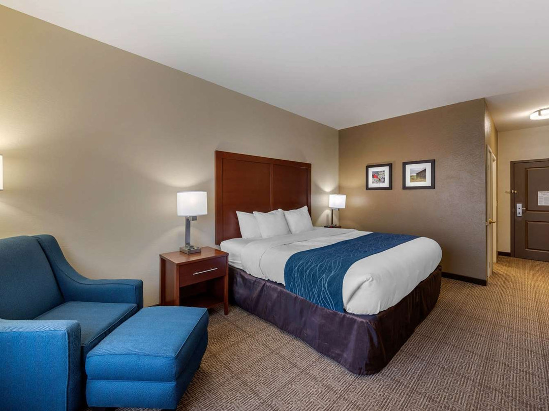 Alexandria酒店住宿-Comfort Inn & Suites Northern Kentucky