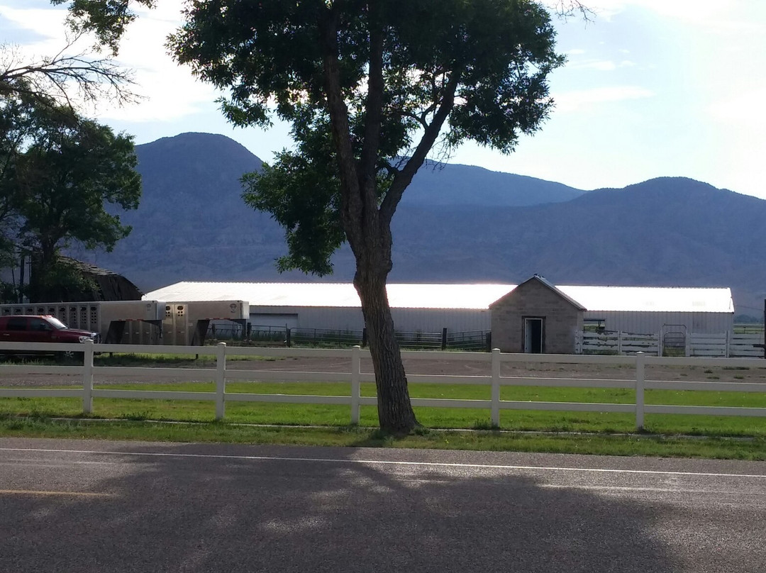 Junction酒店住宿-Junction Motel