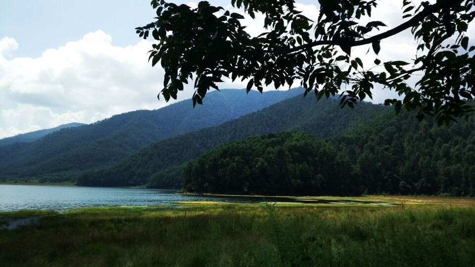 云南天池湿地景点图片