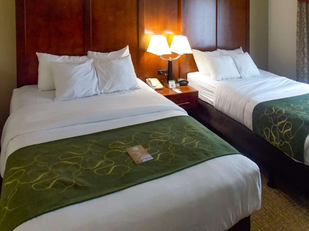 Comfort Suites Inn at Ridgewood Farm主图