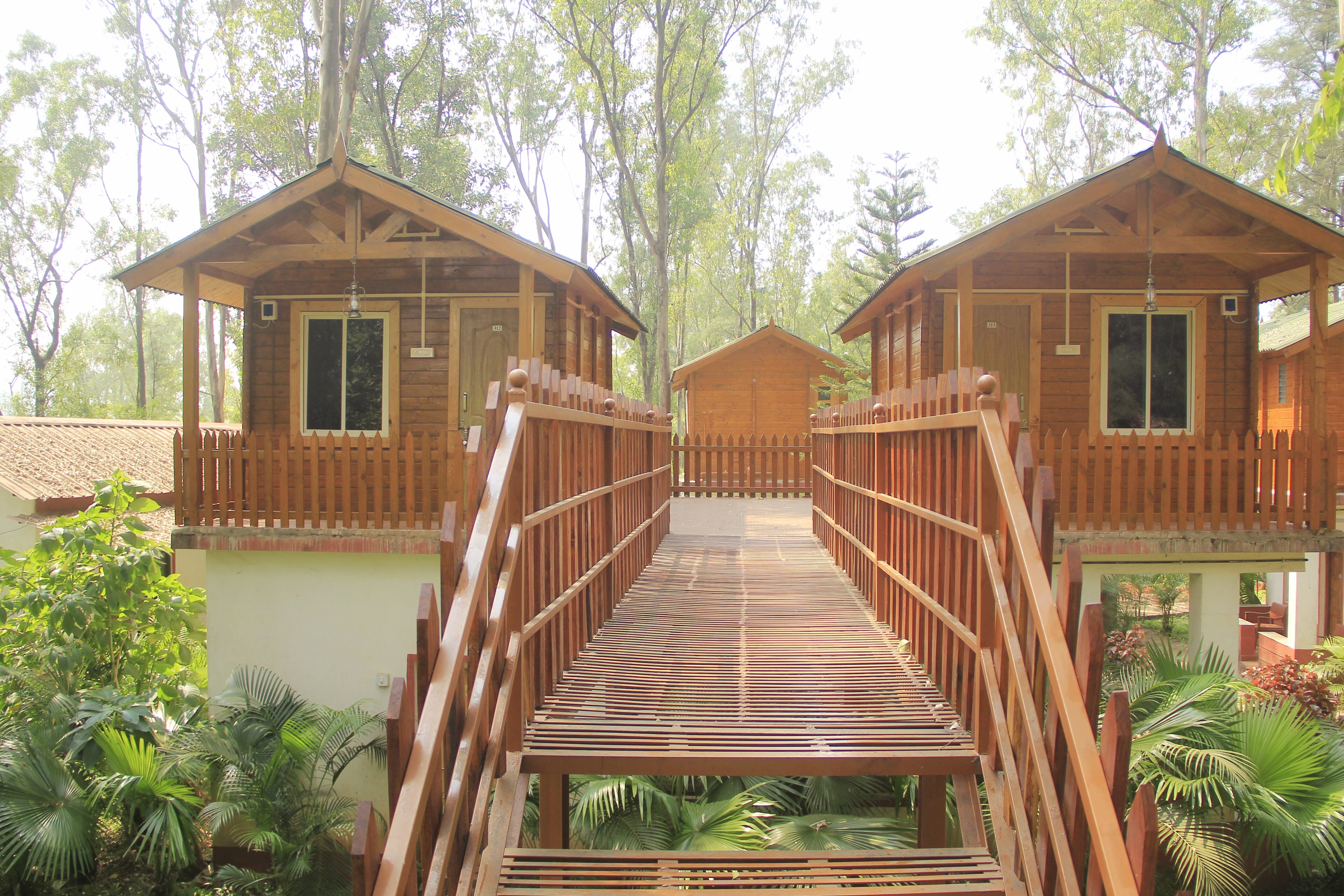 The Jungle Resort Amba-官方