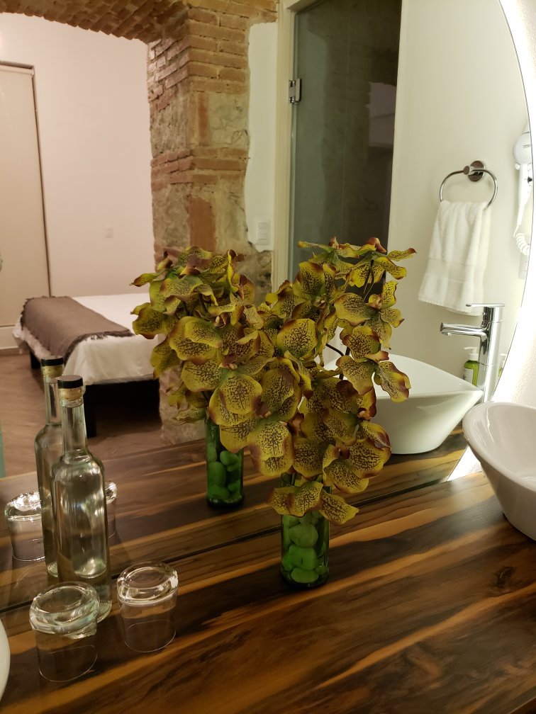 Hotel Tabaa Oaxaca-官方