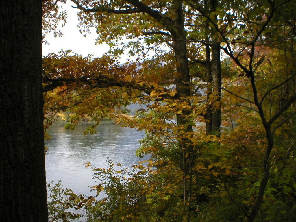 Sproul State Forest景点图片