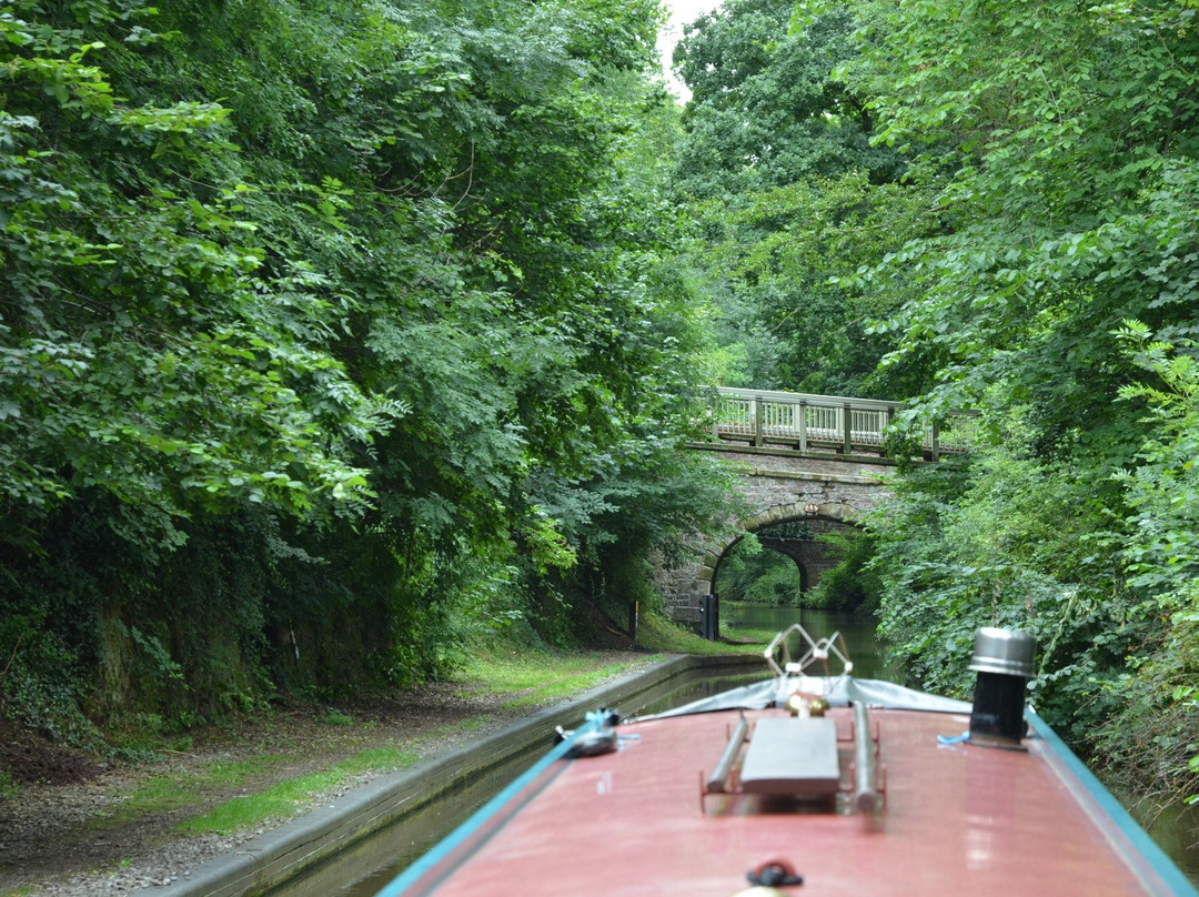 Brewood旅游攻略图片