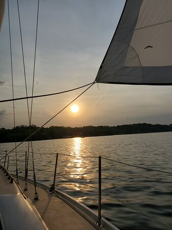 Black Swan Sailing - Day Tour-Kingston必去景点