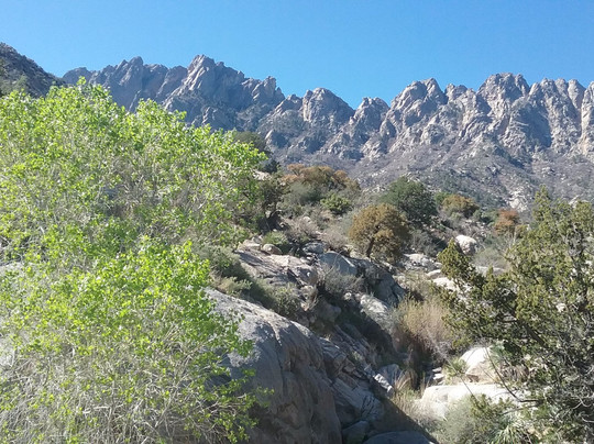 White Sands旅游景点-Aguirre Spring National Recreation Area